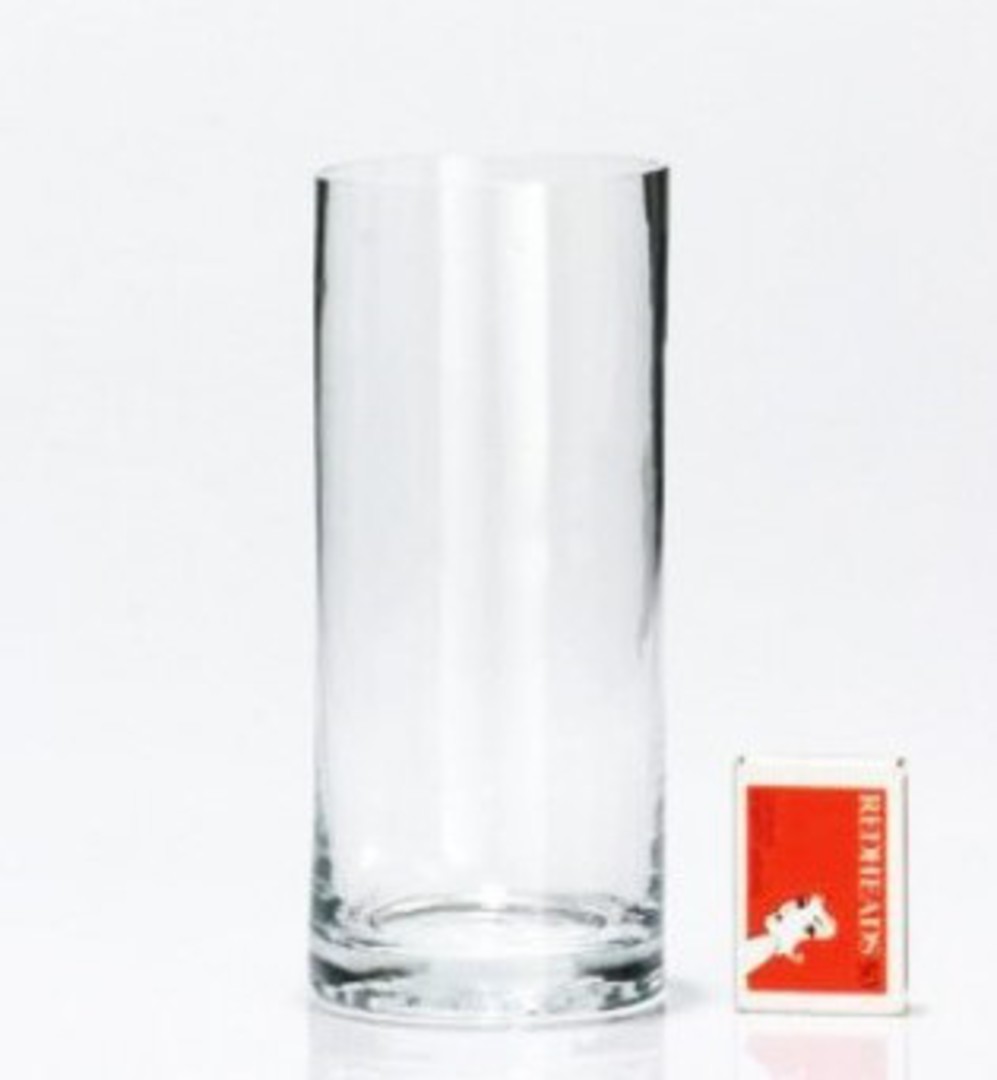 Glass Vase (100 x 350mm) image 0